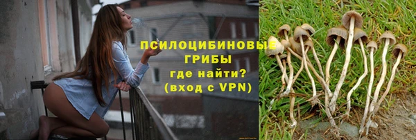 apvp Абдулино