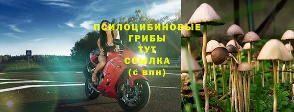 a pvp Абаза