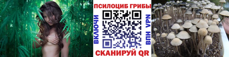 Галлюциногенные грибы Magic Shrooms  Серпухов 